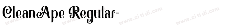 CleanApe Regular字体转换